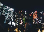 Best Cities with the Best Nightlife for Party Seekers