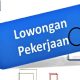 260.000 Orang Dicari, Lowongan Resmi Dibuka untuk Warga Indonesia, Segini Gajinya!
