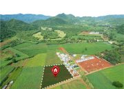 Penertiban Tanah Besar-besaran 2025, Warga Indonesia Wajib Tahu Jika Belum Melakukan Ini Selama 2 Tahun