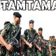 TNI AD Buka Rekrutmen Tamtama 2025, Butuh 24.000 Orang, Ini Syarat, Cara Daftar dan Jadwal Resminya!