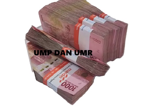 Pemerintah Tetapkan UMR dan UMP 2025 di Semua Provinsi, Ini Rincian Lengkapnya!