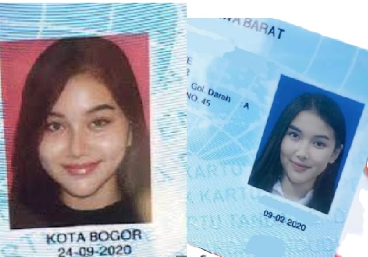 Cara Mudah dan Cepat Urus KTP, KK, dan Dokumen Lain Tanpa ke Kantor, Resmi Berlaku 2025!