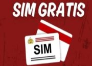 Aturan Perpanjangan SIM Freed from fee Tahun 2025, Khusus yang Lahir Juli, Ini Ketentuannya!