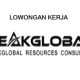 PT Peakglobal Resources Butuh Pegawai Baru, Penempatan di Daerah Ini, Buruan Lamar!