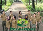 PT Inhutani I Butuh Pegawai Lulusan SMA/SMK, D3 dan S1, Ada 8 Posisi dengan Gaji Tinggi