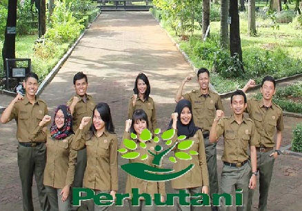 PT Inhutani I Butuh Pegawai Lulusan SMA/SMK, D3 dan S1, Ada 8 Posisi dengan Gaji Tinggi