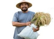 Petani Wajib Tahu, Aturan Baru Penyaluran Pupuk 2025 Resmi Berlaku!