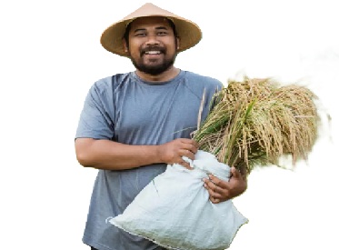 Petani Wajib Tahu, Aturan Baru Penyaluran Pupuk 2025 Resmi Berlaku!