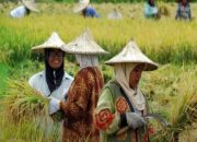 Kabar Gembira dari PT Kereta Api Indonesia untuk Petani dan Pedagang, Catat Informasinya!