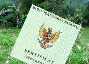 Peringatan Penting untuk Pemilik Tanah Belum Bersertifikat, Segera Urus ke BPN, Jangan Ditunda Lagi!