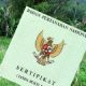 Peringatan Penting untuk Pemilik Tanah Belum Bersertifikat, Segera Urus ke BPN, Jangan Ditunda Lagi!
