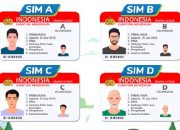 Update Tarif Pembuatan SIM A, B, C, dan D April 2025, Lengkap dan Resmi!