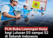PLN Buka Rekrutmen Umum 2025 untuk Lulusan D3 hingga S2