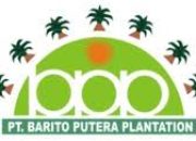 Lowongan Kerja PT Barito Putera Plantation 2025: Drafting Assistant di Kalimantan Selatan, Simak Syaratnya