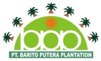 Lowongan Kerja PT Barito Putera Plantation 2025: Drafting Assistant di Kalimantan Selatan, Simak Syaratnya