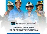 Freeport Indonesia Buka Lowongan Kerja untuk Proyek Smelter Gresik, Simak Posisi dan Syaratnya!