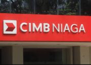 Monetary institution CIMB Niaga Buka Lowongan Kerja untuk Lulusan D3 dan S1, Cek Posisi, Syarat, dan Lokasi Penempatan!
