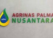 PT Agrinas Palma Nusantara Buka Lowongan Besar-Besaran, Cek Posisi dan Cara Daftarnya