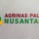 PT Agrinas Palma Nusantara Buka Lowongan Besar-Besaran, Cek Posisi dan Cara Daftarnya