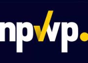 Aturan Baru DJP 2025: 14 Kelompok Pemilik NPWP Bisa Ubah Field Menjadi Nonaktif, Simak Syarat dan Caranya