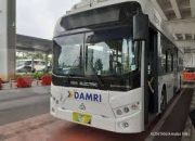 Naik Trans Banten Sepuasnya Tanpa Bayar Sepanjang 2025, DAMRI dan Pemprov Banten Hadirkan Layanan Transportasi Freed from fee untuk Semua!