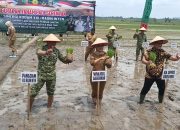 Kodam XXI Radin Inten Kolaborasi Dengan Pemprov Lampung Dan Pemkab  Tanam Padi Di Lamtim
