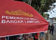 Pengadaan Payung UMKM Rp600 Ribu per Unit di Bandar Lampung Dipertanyakan