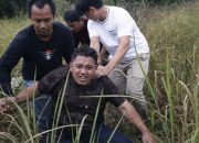 DPO Curanmor Ditangkap Dramatis di Tol Bakter, Sempat Lompat ke Jurang Saat Kabur