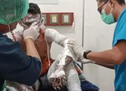 Kebakaran Hebat Hanguskan Pangkalan Gas LPG di Bandar Lampung, Satu Korban Luka Bakar Serius