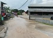 Hujan Deras Sebabkan Longsor, Pohon Tumbang, dan Genangan di Bandar Lampung