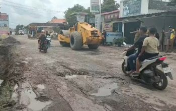 Pemprov Lampung Anggarkan Rp36 Miliar, Perbaikan Tiga Ruas Jalan di Pringsewu Dilakukan Bertahap