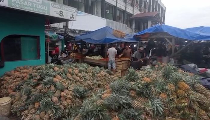 Jelang Lebaran, Pedagang Nanas di Pasar Tugu Bandar Lampung Kebanjiran Pembeli
